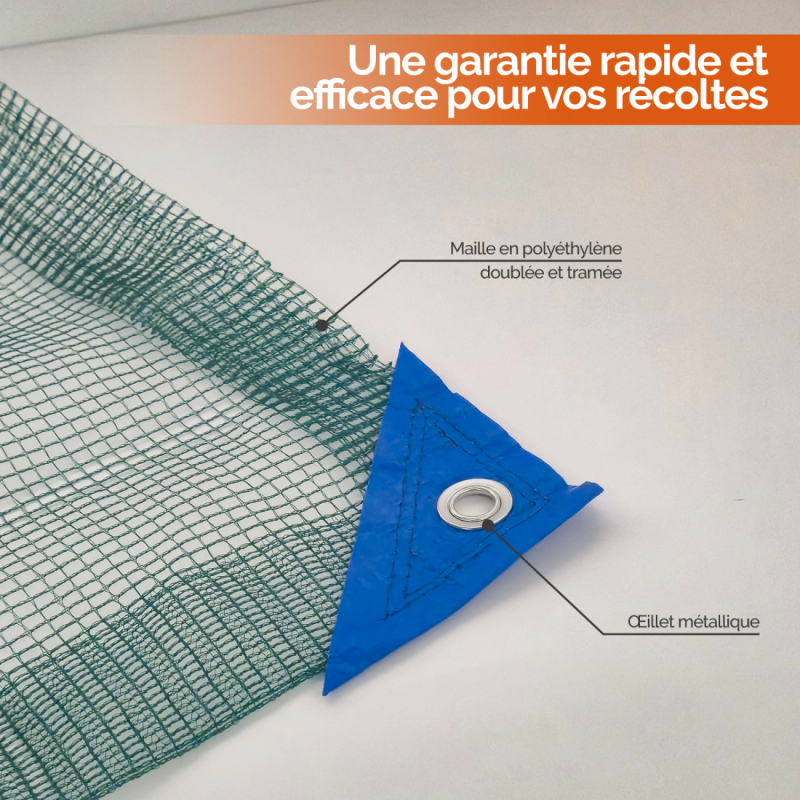 Filet de récolte - 12 x 12 m - Vert