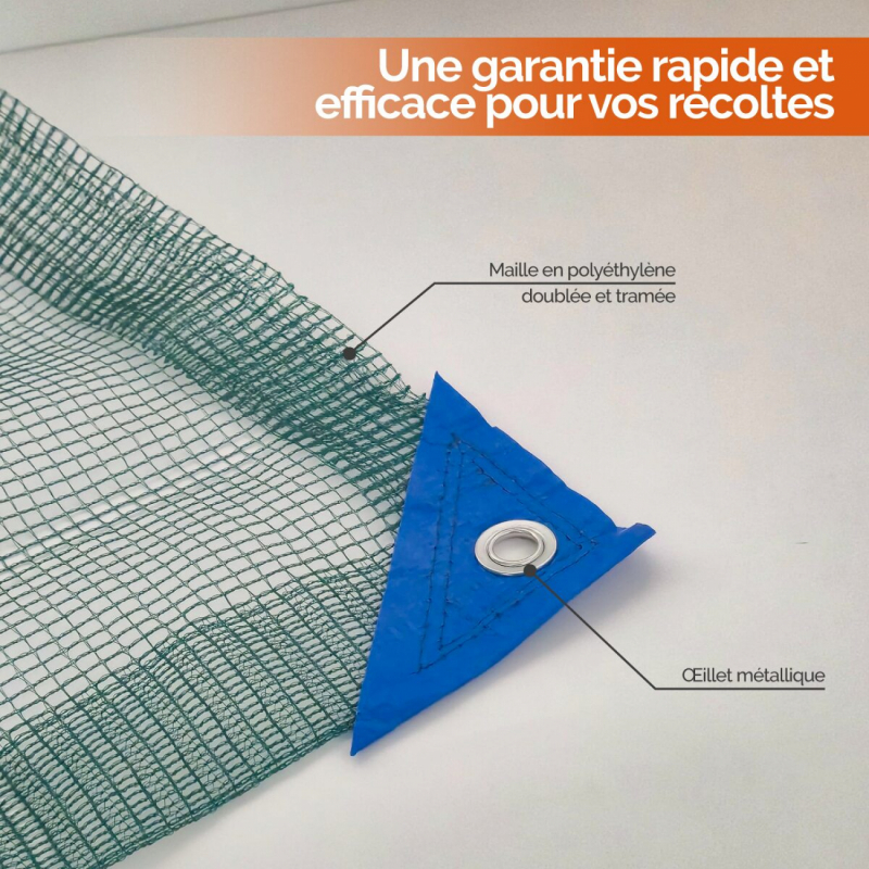 Filet de récolte - 10 x 10 m - Vert