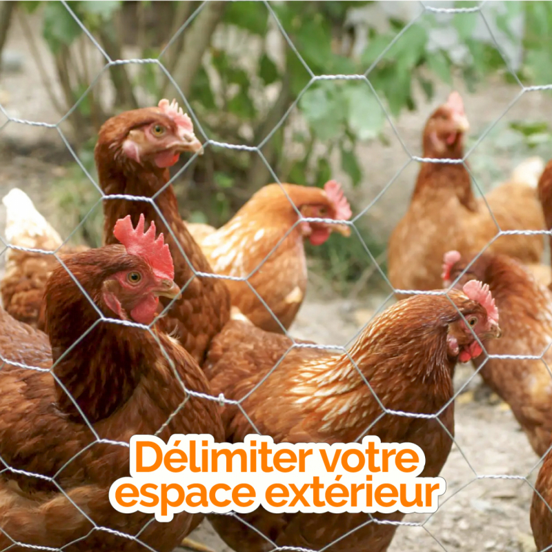 Grillage triple torsion - Maille 50 mm - 25 m x 1 m - Gris