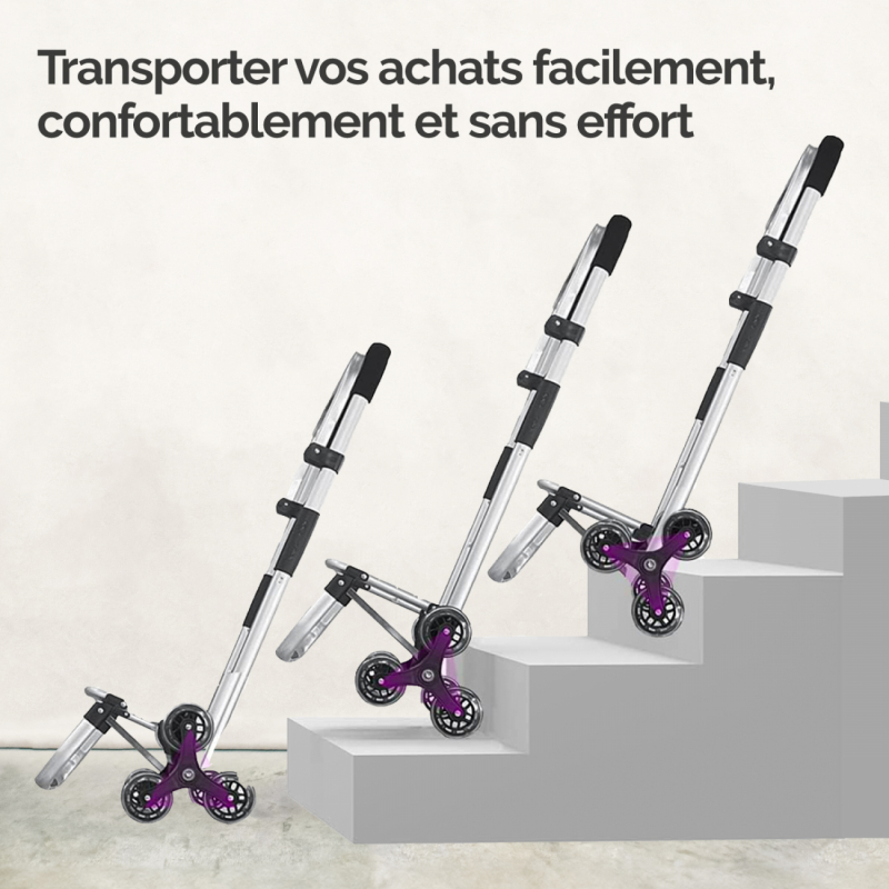 Chariot de courses - Noir