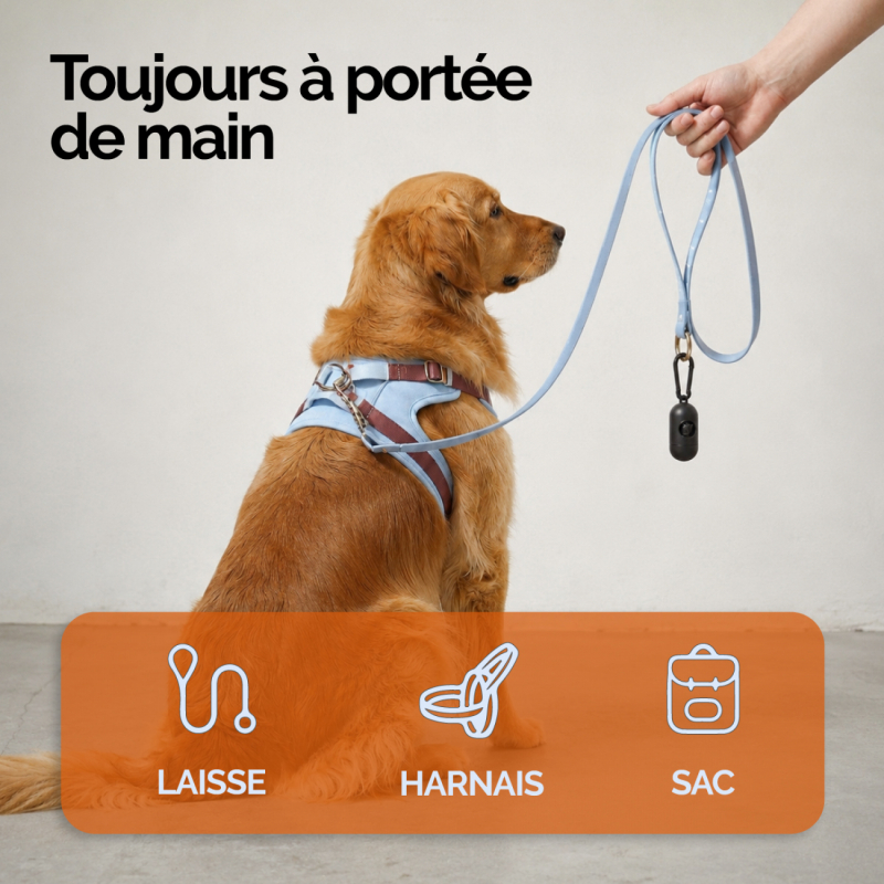 Lot de 900 sacs de déjection canine et distributeurs - Noir