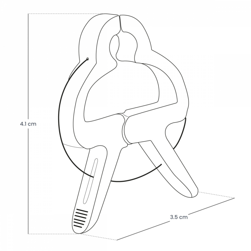 Lot de 40 clips d'attache pour plantes - Petite taille