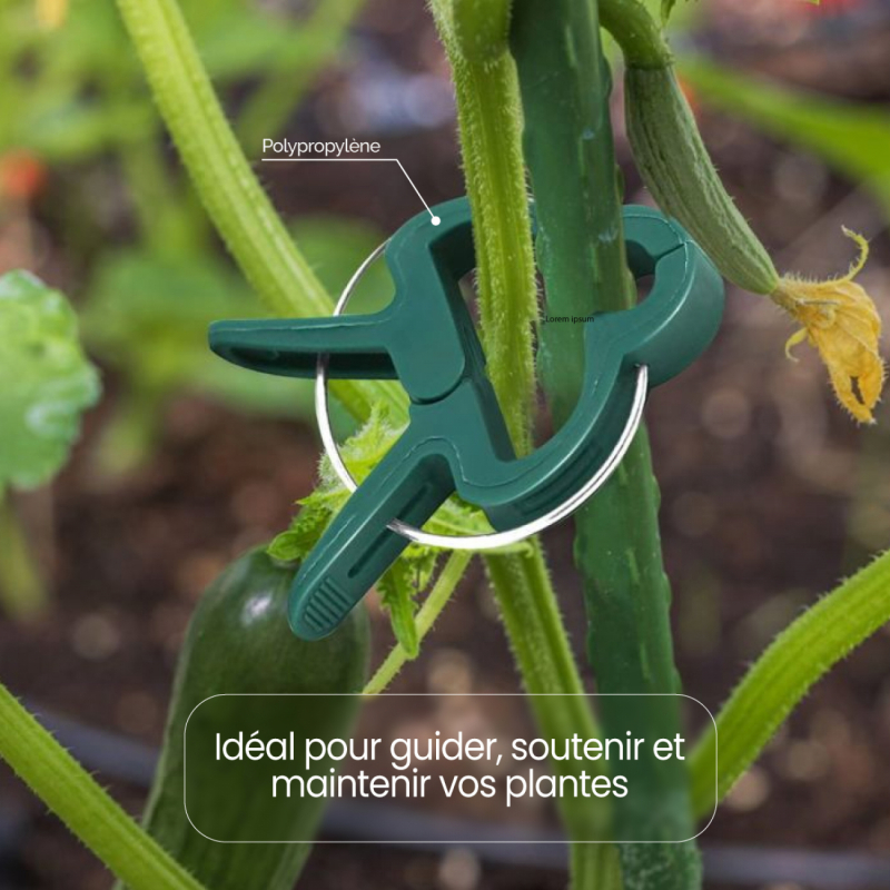 Lot de 40 clips d'attache pour plantes - Grande taille
